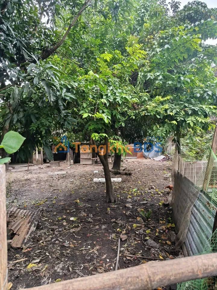 Đất Nguyễn Văn Cừ Liên Chiểu 111m² 1.98 tỷ - Giá đầu tư tốt