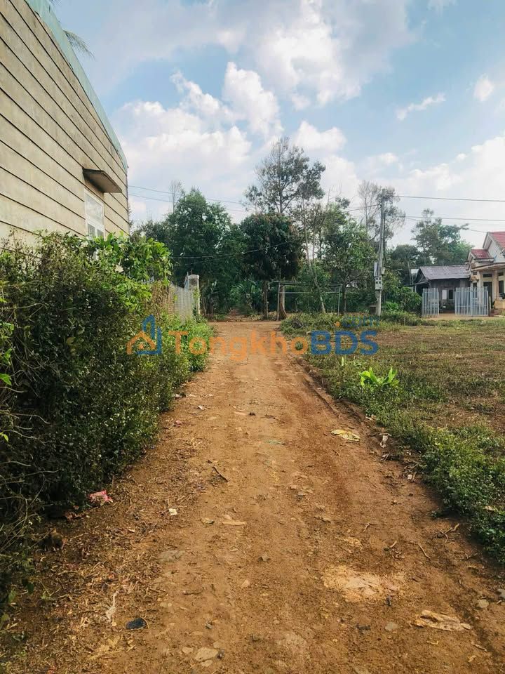 Đất Đắk Lắk - 140m² Thổ Cư, Mặt Tiền 10m, Giá Chỉ 590 Triệu