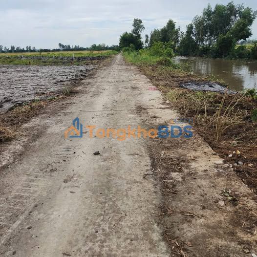 Bán Gấp Nền Thổ Cư 45m² Sổ Sẵn - Giá Ngộp 175 Triệu