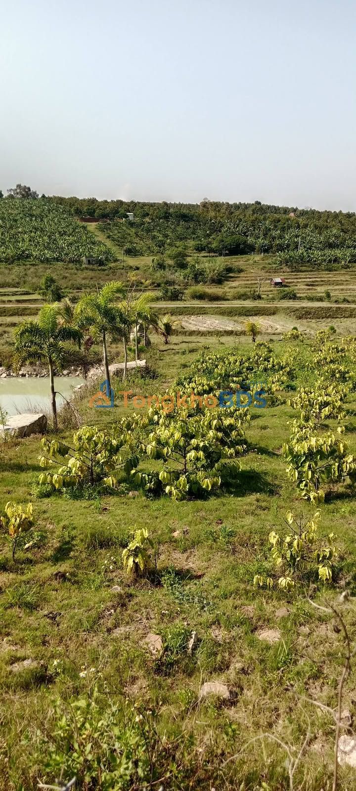 Đất nền 1440m² Đồng Lạc, Chương Mỹ - Sổ hồng, view ruộng rừng thông