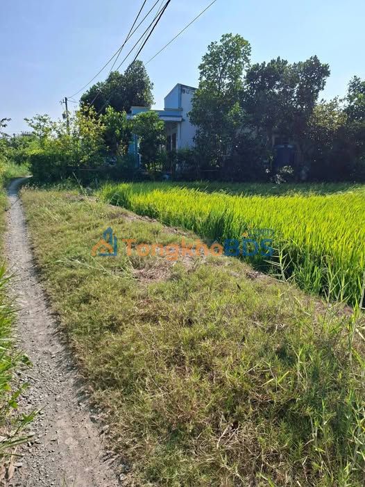 Đất nền Tân Hòa Thành, Đồng Tháp - 299 triệu, 412m², tiềm năng sinh lời