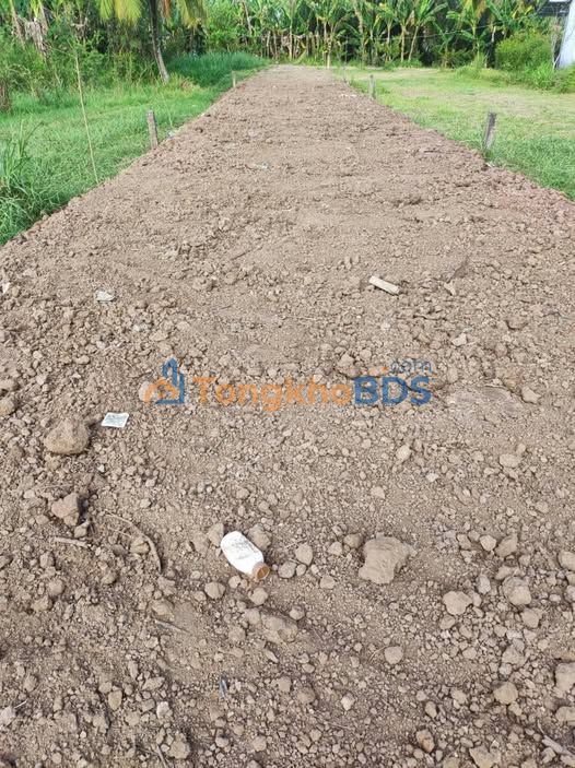 Đất nền Gò Công Tây 240m² - Giá 350 triệu, Sổ hồng sẵn sang tên