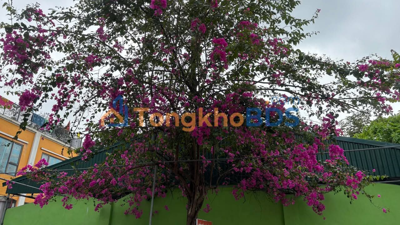 Bán Đất Đông Quý, Tiền Hải 140m² - Sổ Đỏ Chính Chủ, Giá Tốt