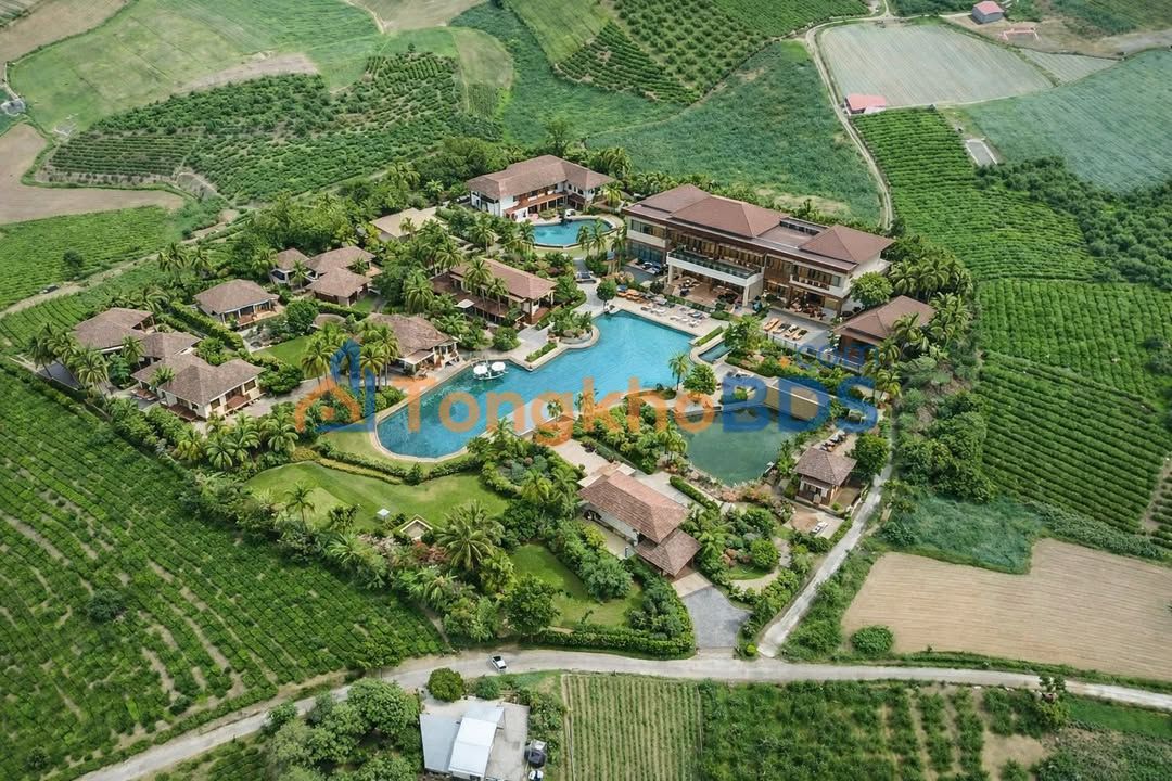 Đất Nền Mộc Châu 4864m² - Sẵn Sàng Làm Homestay