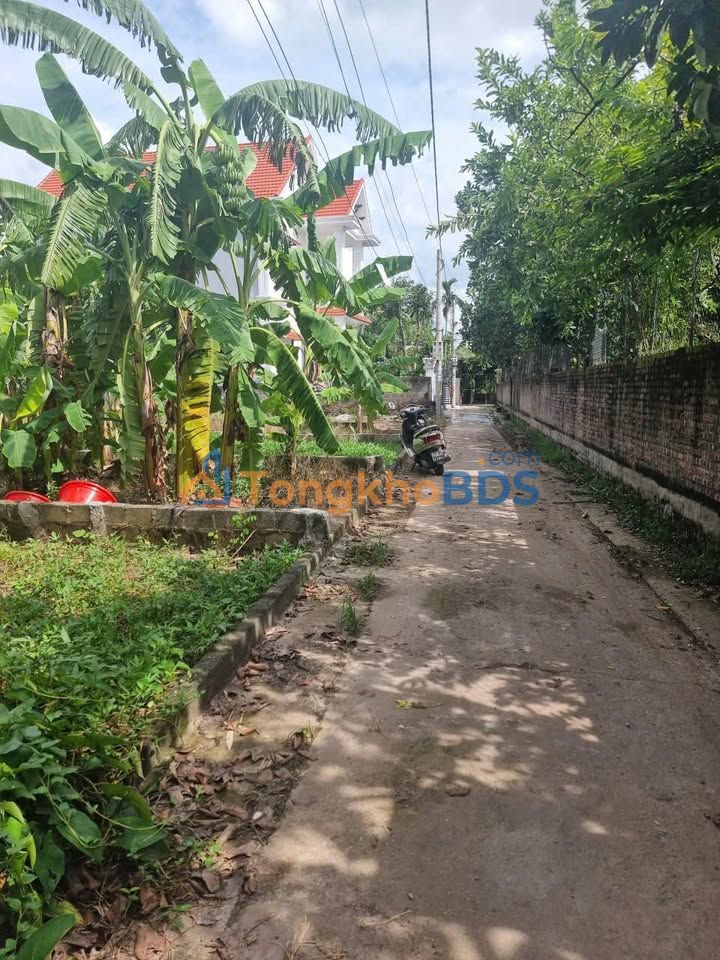 Đất Tri Thủy 90.7m² - Ô tô vào tận nơi, Giá chỉ từ 2 tỷ