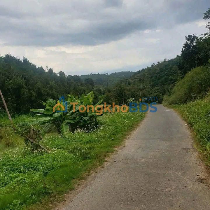 Đất Nông Nghiệp 3.2ha Mặt Tiền Liên Xã Tân Lạc - Lộc Nam