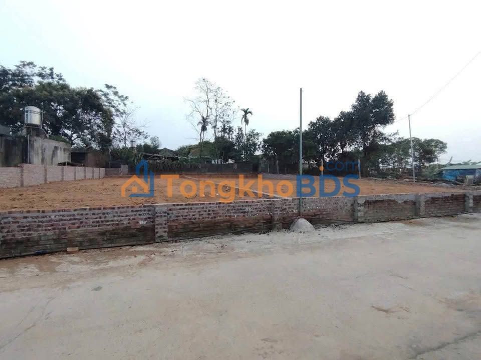 Bán Đất Tiền Phong Mê Linh 250m² - Giá Hơn 2 Tỷ, Mặt Tiền Rộng