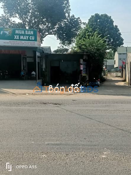 Đất nền Phú Hộ 226m² mặt QL2 - Đường to ô tô