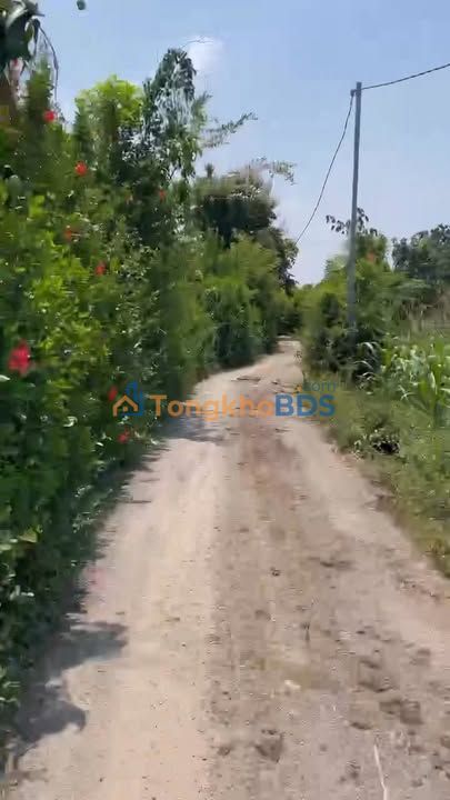 Đất vườn Thanh Mỹ Sơn Tây 2.600m² 1.2 tỷ - Đường to ô tô