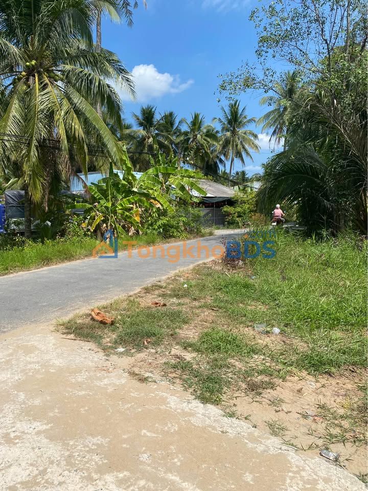 Đất vườn Sơn Phú Giồng Trôm 550m² 550 triệu - Sổ hồng rõ ràng