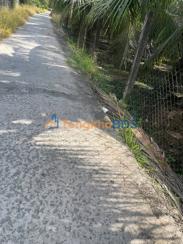 Bán Gấp Đất Vườn 8500m² Tặng Nhà Kiên Cố Tại Long Hồ, Vĩnh Long - 8.5 Tỷ