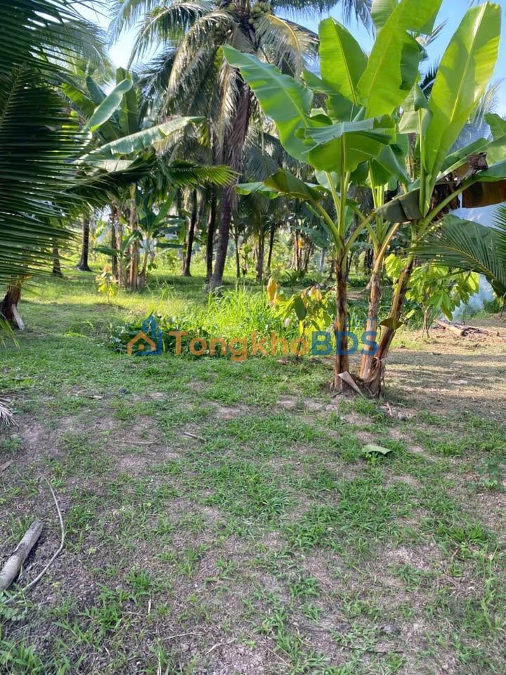 Đất nền Ttc Phú Đức 2.400m² 2.76 tỷ - Sổ đỏ chính chủ