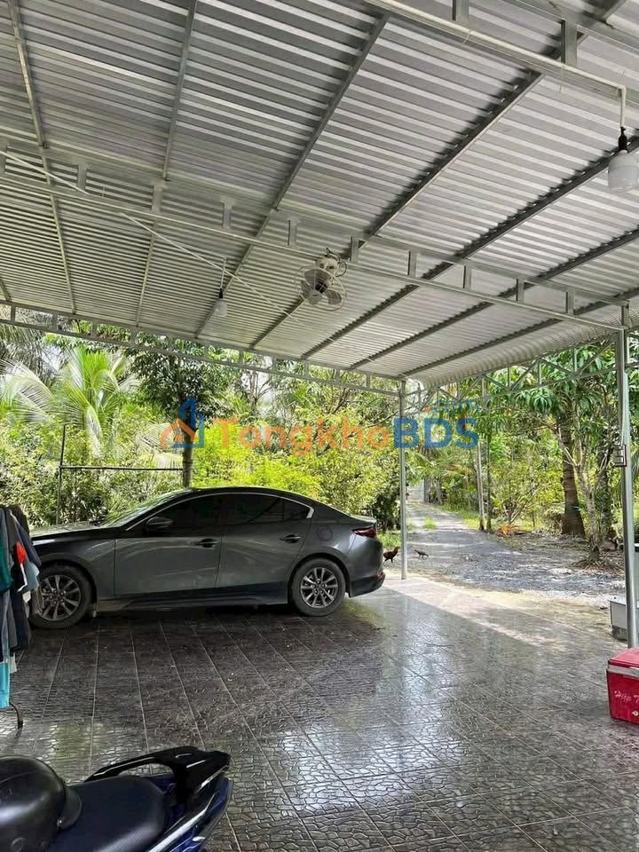 Bán Gấp Đất Vườn Dừa 6600m² Bến Tre - Sổ Hồng Sẵn Sàng