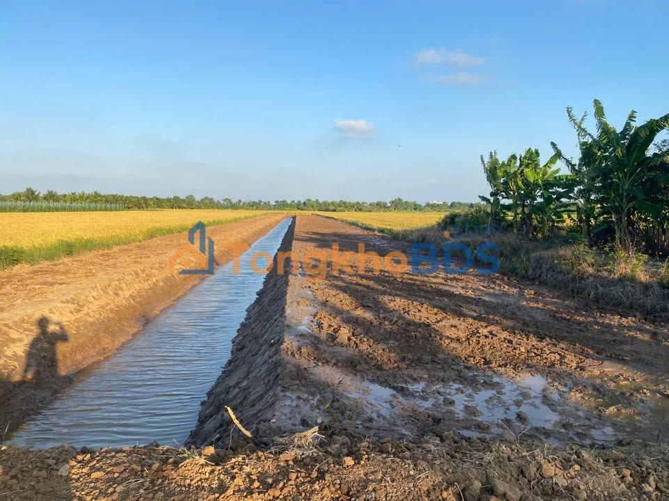 Bán Đất Vườn 2658m² Mặt Tiền Kênh Ba Tri, Bến Tre - Giá Đầu Tư