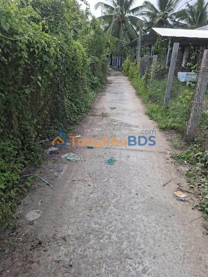 Đất thổ cư 153m² Hưng Khánh Trung B, Chợ Lách - Giá chỉ 390 triệu