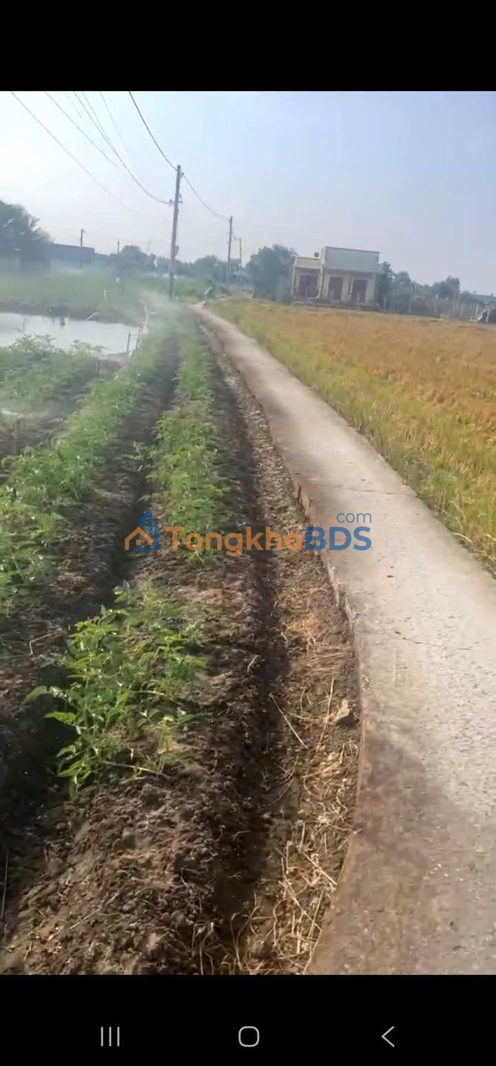 Đất Cầu Bà Trà Tân Đông 100m² 170-190 triệu - Đất thổ cư 100%