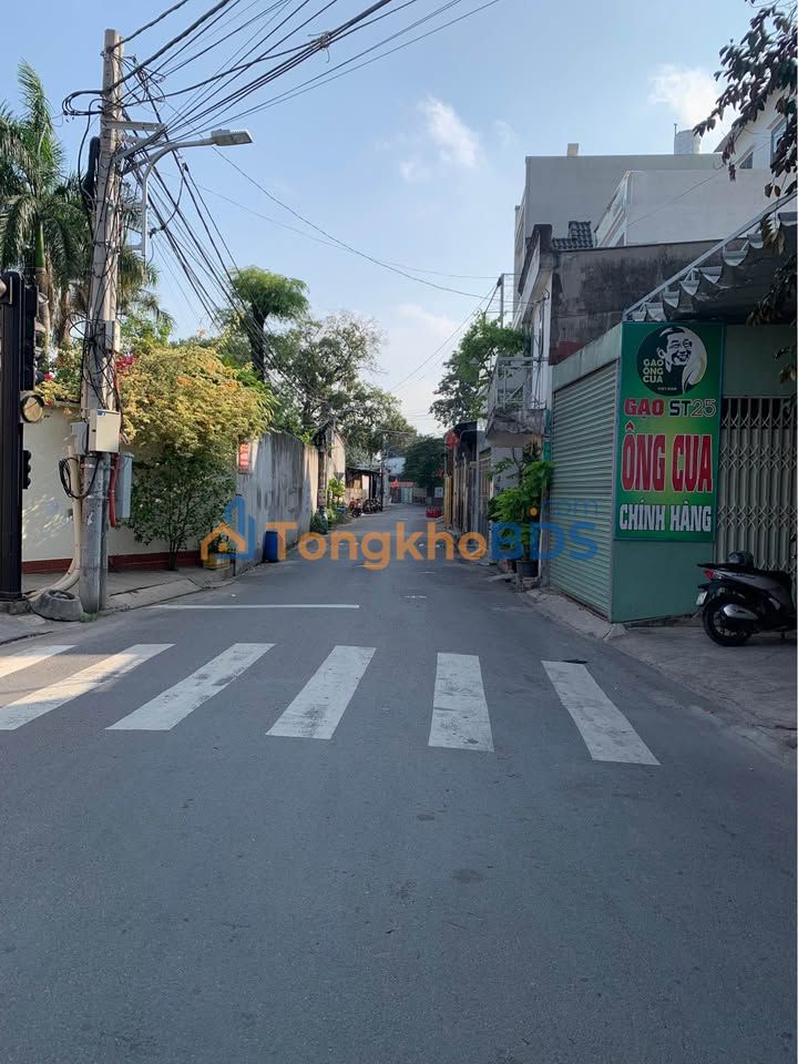 Đất Mặt Tiền Trần Thị Dương Dĩ An 186.5m² - Kinh Doanh Sinh Lời