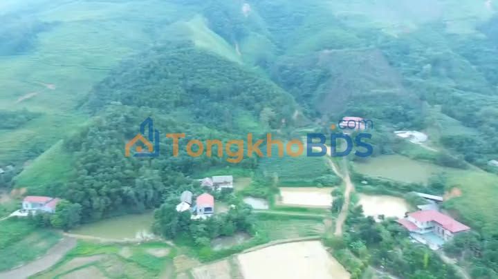 Đất nghỉ dưỡng 3300m² Phú Thọ - Lô góc 3 mặt tiền, view đồng cực xinh