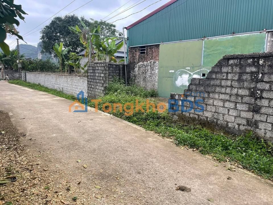 Bán đất nhà xưởng kiêm vườn bưởi 550m² Yên Thủy, Hòa Bình - Sẵn sàng kinh doanh