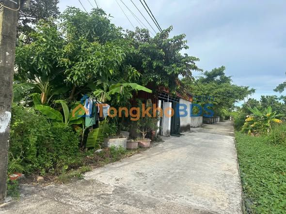 Đất xã Châu Sơn, Quỳnh Phụ 167m² 7 tỷ - Sổ đỏ chính chủ