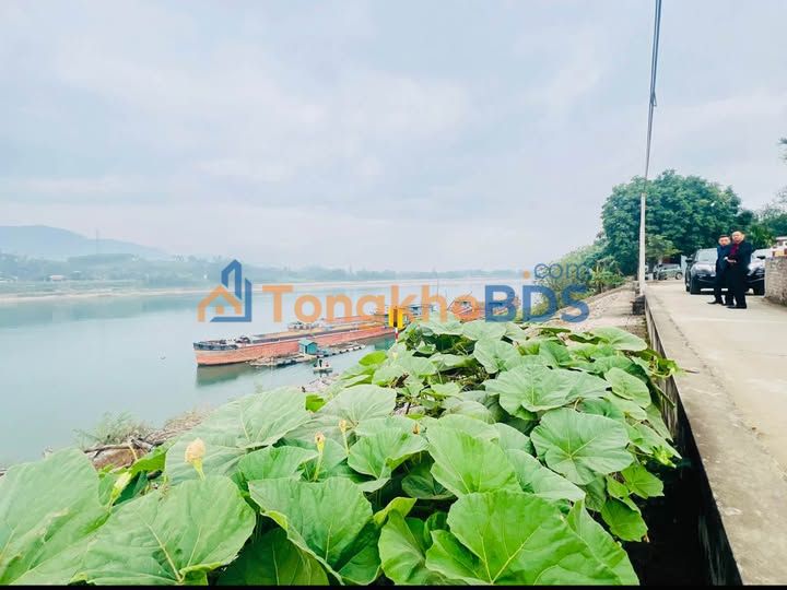 Bán Gấp Đất Vườn Ba Vì 1229m² - View Sông Đà, Sổ Đỏ, Giá Tốt