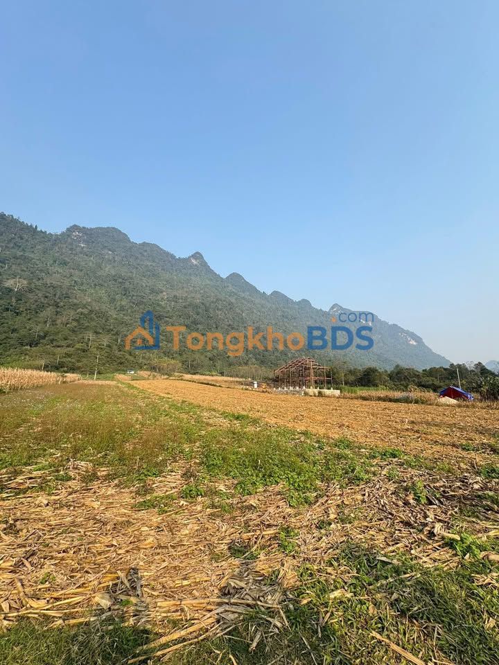 Đất Vườn Hà Giang 1083m² - Tiềm Năng Homestay, Du Lịch Độc Đáo