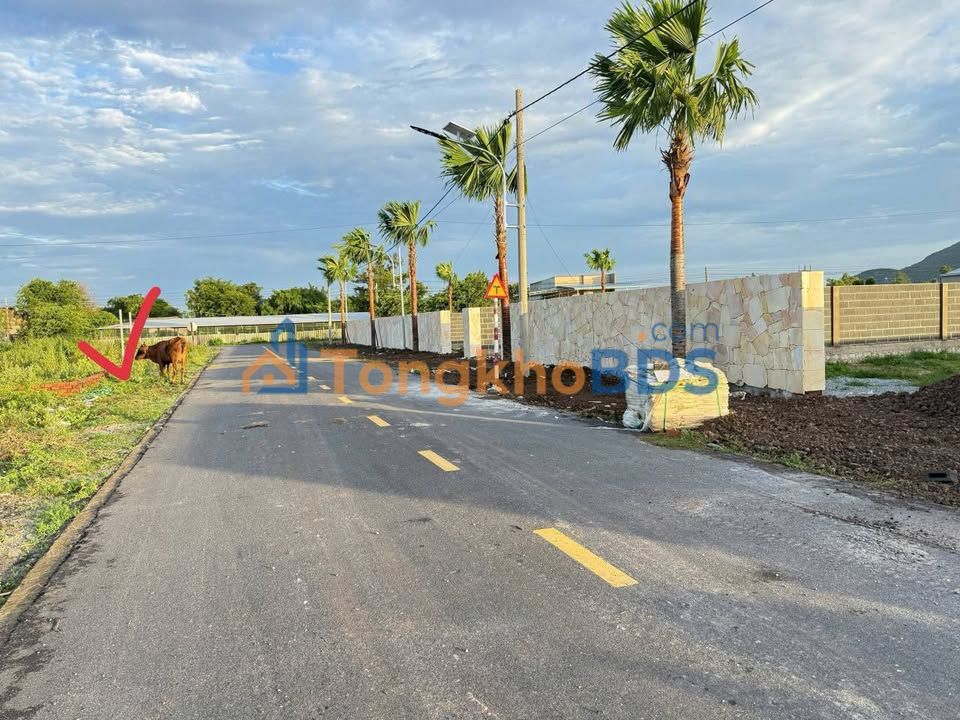 Đất nền Phước Hội BR-VT 1.106m² 6 tỷ - Sổ đỏ chính chủ