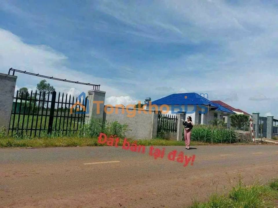 Đất Phước Long Thọ, Long Đất 500m² Sổ Đỏ F0 - Giá 1.6 Tỷ