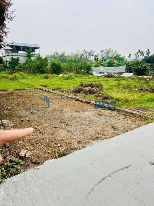 Đất nền Đỗ Động Thanh Oai 55m² - Sổ đỏ chính chủ