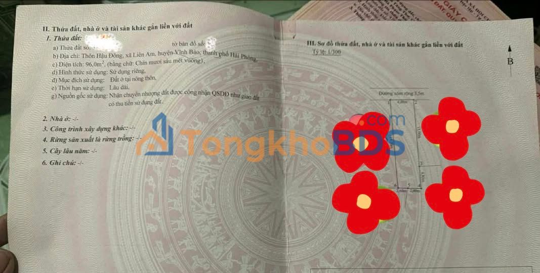 Đất nền Hậu Đông Liên Am 96m² giá 8xx triệu - Sổ đỏ chính chủ