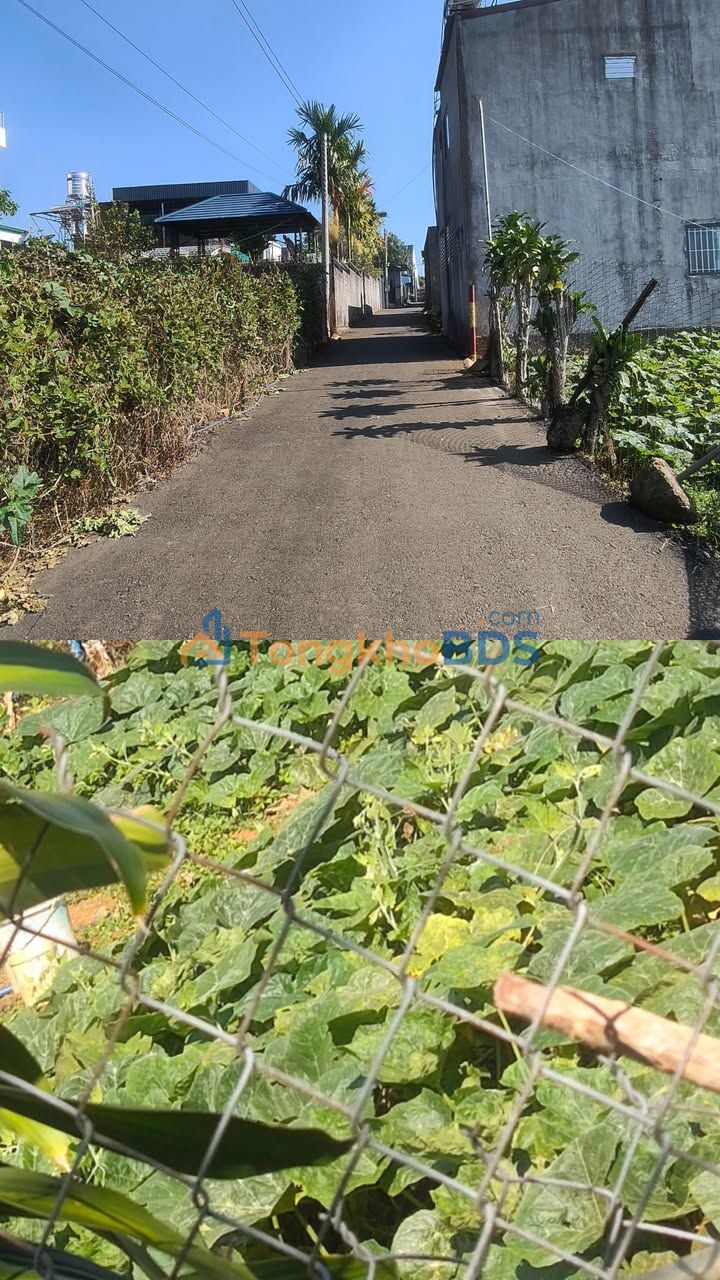 Bán Đất Thổ Cư 160m² Hẻm Phan Đình Phùng, Bảo Lộc - Giá 1.9 Tỷ