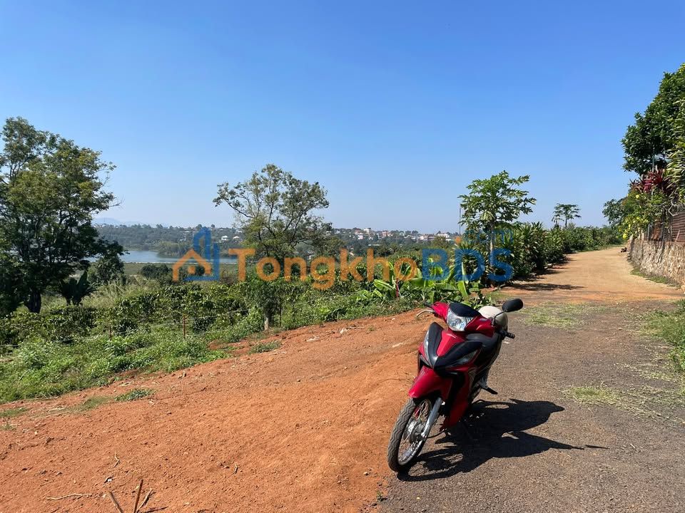 Đất nền Tân Châu Di Linh 2.000m² 1,8 tỷ - Sổ đỏ chính chủ