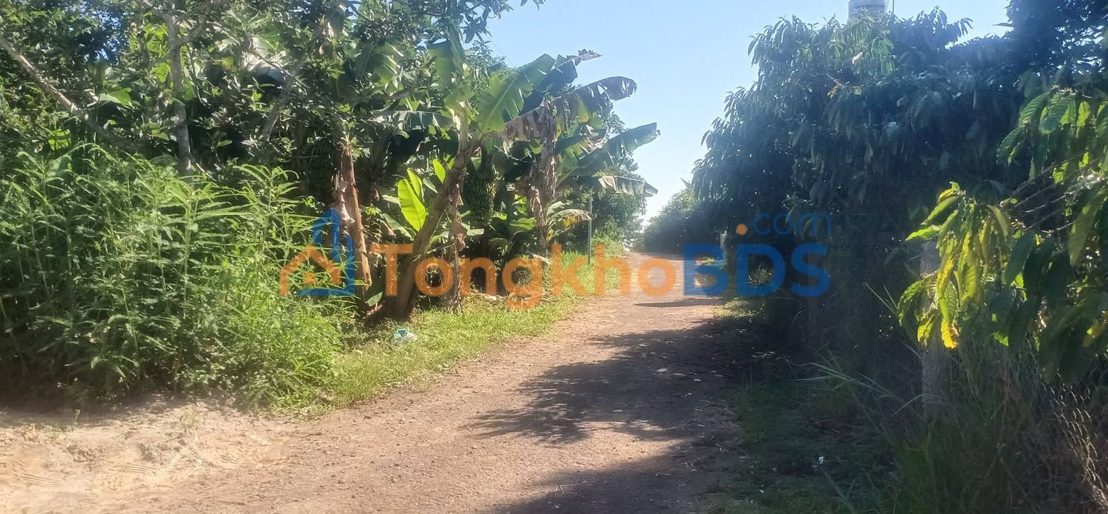 Bán Đất Hẻm Chi Lăng Bảo Lâm 198m² - Sổ Hồng Thổ Cư, Ô Tô Tận Nơi