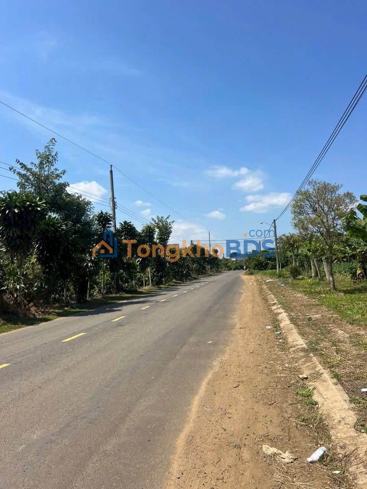 Bán Đất Tân An, La Gi 180m² - Gần UBND & Trường Học, Đường 10m