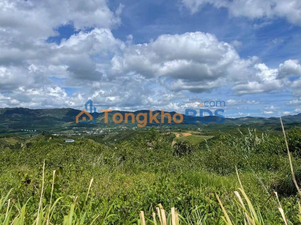 Đất View Đồi 1384m² TP Bảo Lộc - Sẵn Sổ, Xe Hơi Tới Nơi