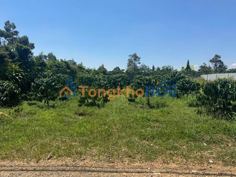 Đất nền Bảo Lộc Phường 1 468m² giá 2 tỷ - Sổ đỏ chính chủ