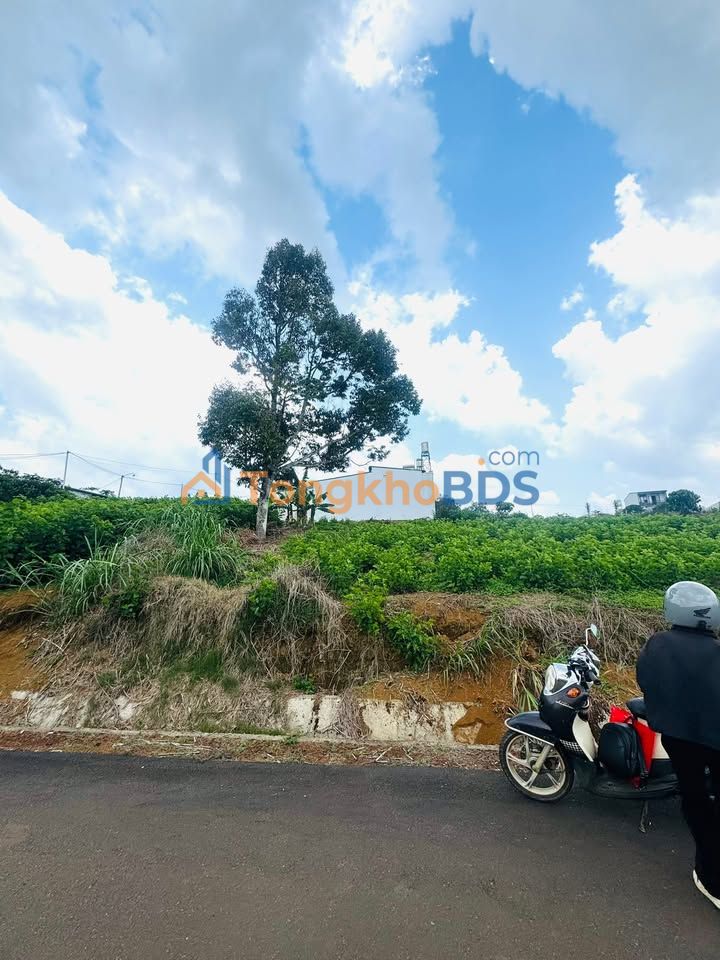 Đất thổ cư Bảo Lộc 100m² 900 triệu - Sổ đỏ chính chủ