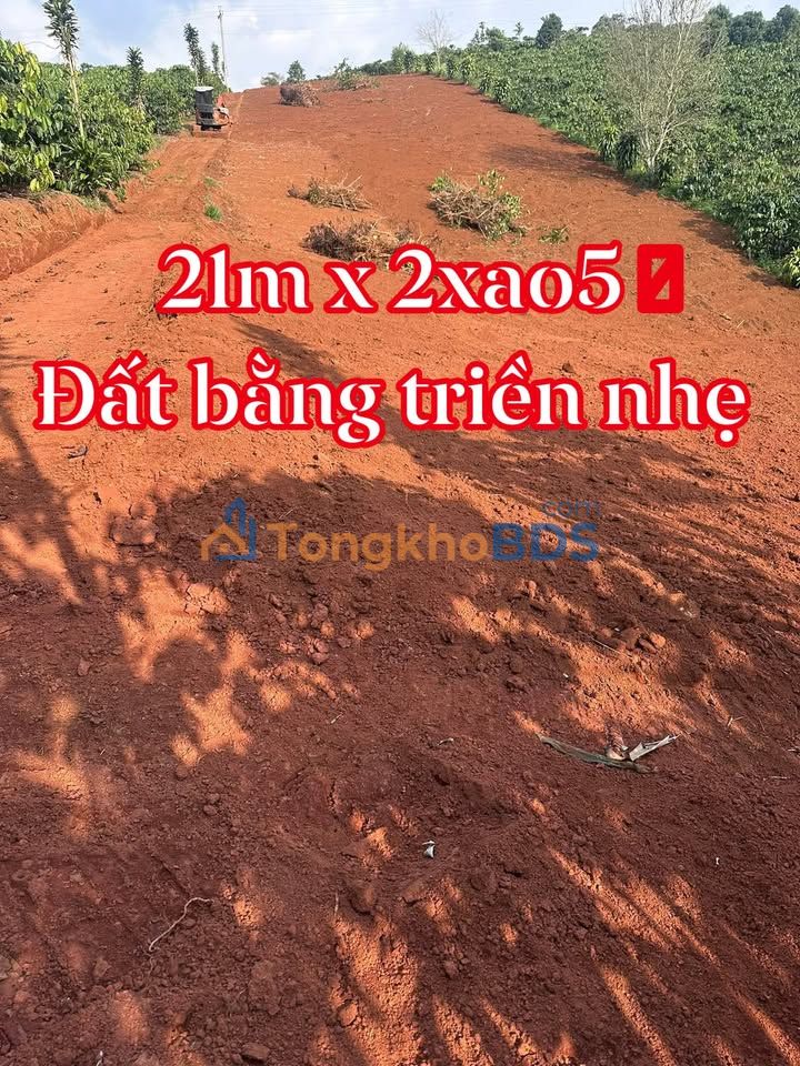 Đất nền Bảo Lâm 4500m² - Sổ đỏ sẵn, giá 1.1 tỷ, thích hợp làm vườn