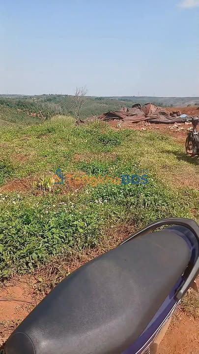 Đất Vườn 5ha Đắk Nông - Sổ Hồng Sẵn Sàng, Đầu Tư Sinh Lời