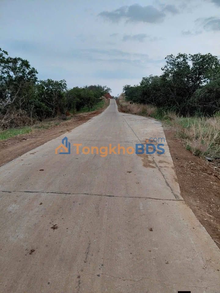 Bán Gấp Đất 2040m² Quảng Tân, Đắk Nông - Giá Chỉ 400 Triệu