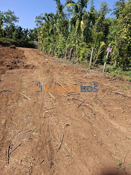 Đất nền Ea Ktur Đắk Lắk 3000m² 2 tỷ - Sổ đỏ chính chủ