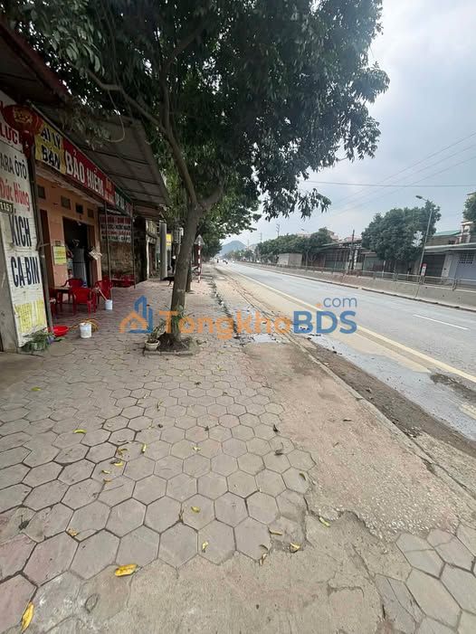 Đất 200m² Mặt tiền Quang Trung, Tam Điệp - Kinh doanh đắc lợi