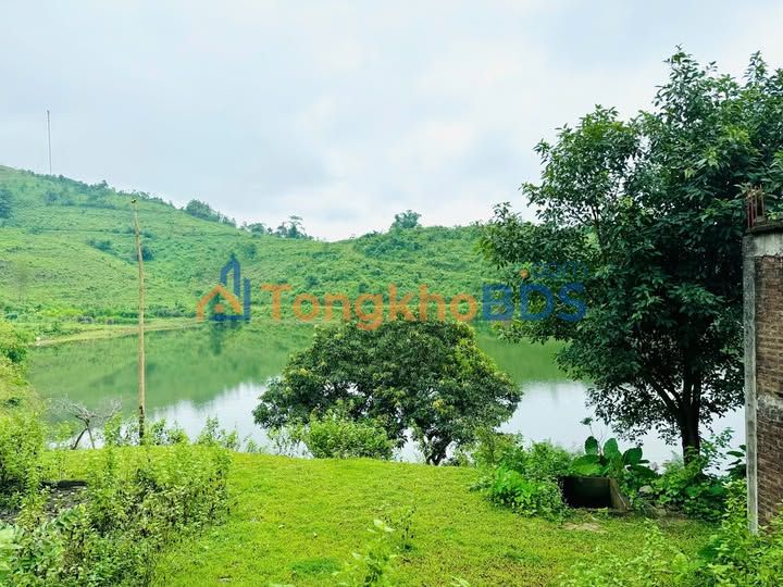 Bán Đất Lục Nam 2300m² - Sổ Đỏ Vuông Vắn, Giá Tốt