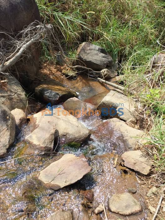 Đất Vườn Kon Tum 1.6ha - Sẵn Sàng Đầu Tư