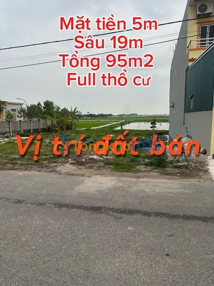 Đất Nền Xuân Trường Nam Định 95m² - Sổ Đỏ Full Thổ Cư, Hướng Nam Mát Mẻ