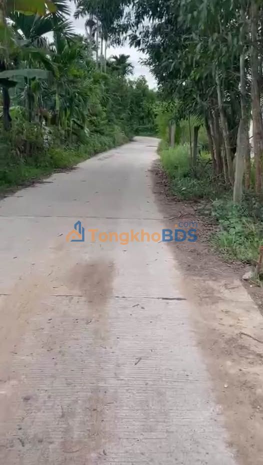 Đất Vườn Nghĩa Kỳ 590m² - Sổ Đỏ 100m² Đất Ở, Giá 475 Triệu