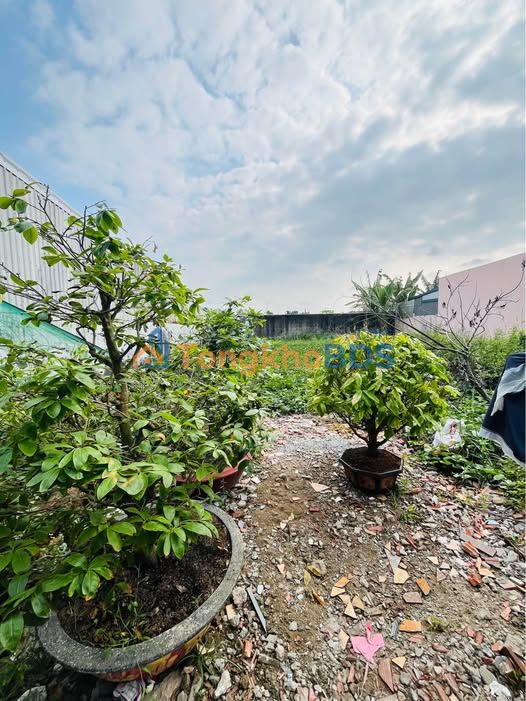 Bán Đất Nền Phường 9, Cà Mau - 300m² - 6xx Triệu - Gần Trường Việt Hàn