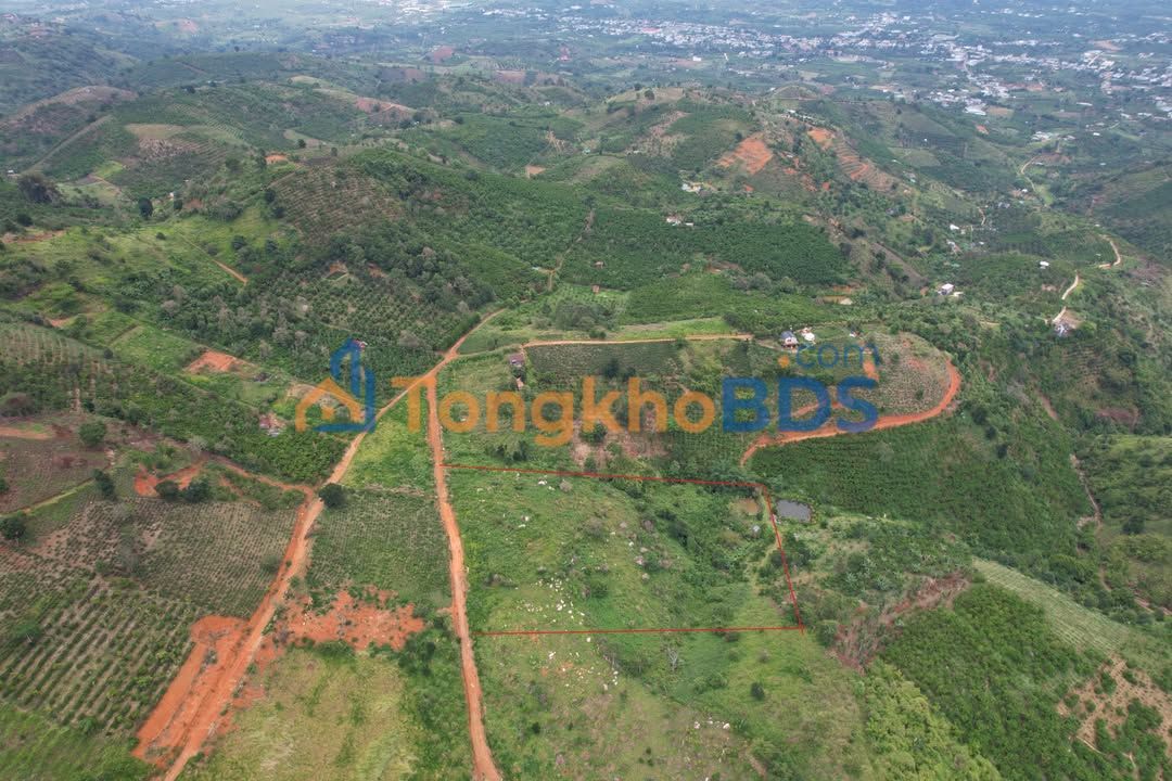 Đất nền Lộc Thanh Bảo Lộc 11.301m² giá 1.19 tỷ - Hạ tầng hoàn thiện