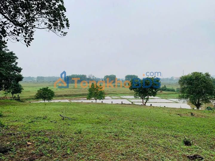 Đất nền Lương Sơn HB 2272m² - View Sông, Tiềm năng sinh lời cao