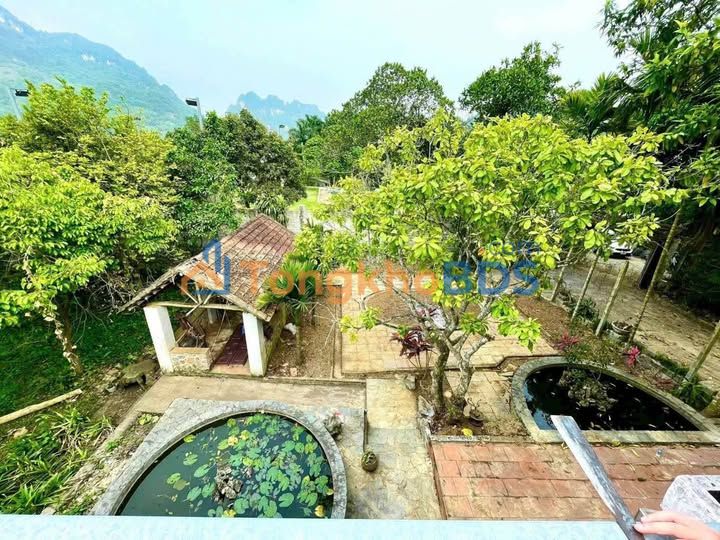 Đất Vườn Nghỉ Dưỡng Hòa Bình 928m² - Gần Sân Golf Phoenix, Sổ Đỏ Rõ Ràng